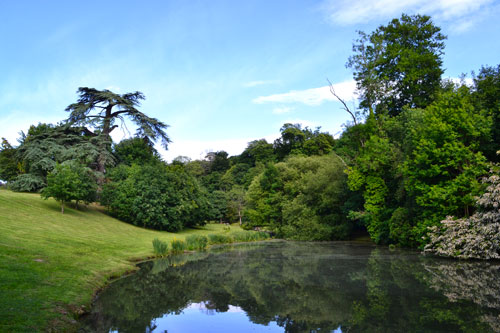 Bruno Decelle | conseil & expertise